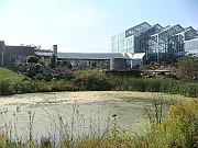 Western Michigan [2009] 385